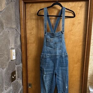 Free People skinny Light Blue Denim overalls